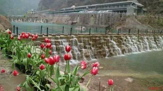 探索知识星球平台,发现我想知道,结婚后的家庭不想生孩子有错吗专属世界